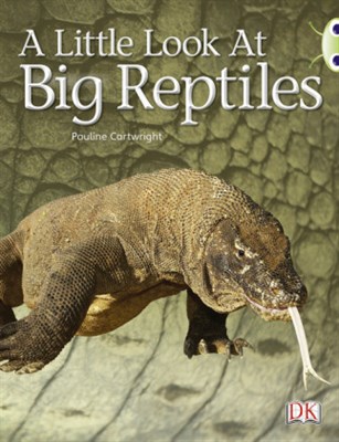 A Little Look at Big Reptiles 9780433004387 - фото 22015