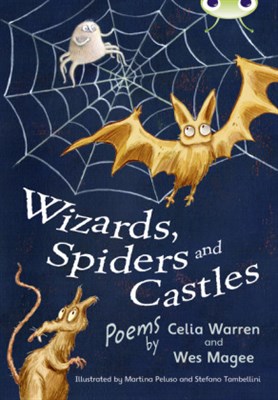 Wizards, Spiders and Castles - фото 22140