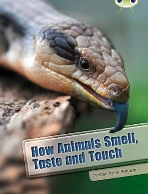 How Animals Smell, Taste and Touch - фото 22141