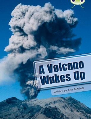 A Volcano Wakes Up - фото 22159