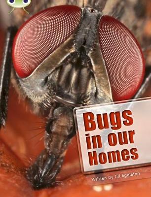 Bugs in our Homes - фото 22160