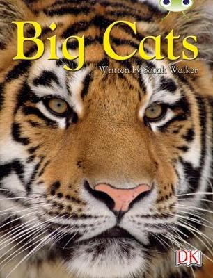 Big Cats - фото 22215