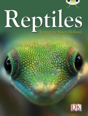 Reptiles (Red) 9780435076221 - фото 22308