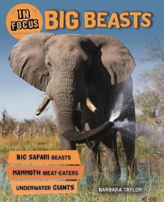 In Focus: Big Beasts - фото 23560