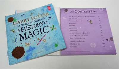 Harry Potter - A Journey Through A History of Magic - фото 23773