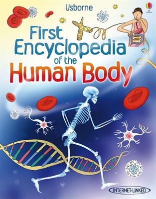 First Encyclopedia of the Human Body - фото 24186
