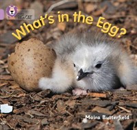 Collins Big Cat — What’s In The Egg?: Band 00/lilac