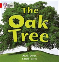 Collins Big Cat — The Oak Tree: Band 02b/red B