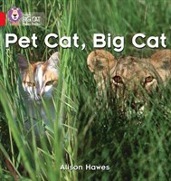 Collins Big Cat Phonics — Pet Cat, Big Cat: Band 02a/red A