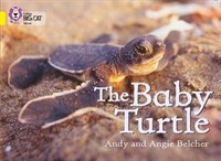 Collins Big Cat — The Baby Turtle: Band 03/yellow