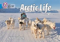 Collins Big Cat — Arctic Life: Band 04/blue