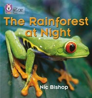 Collins Big Cat Phonics — The Rainforest At Night: Band 04/blue