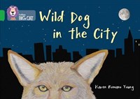 Collins Big Cat — Wild Dog In The City: Band 05/green