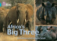 Collins Big Cat — Africa’s Big Three: Band 07/turquoise