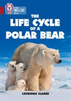 Collins Big Cat — The Life Cycle Of A Polar Bear: Band 14/ruby