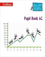 Year 6 Pupil Book 6C