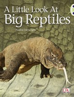 A Little Look at Big Reptiles 9780433004387