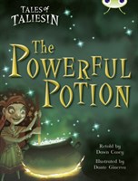 Tales of Taliesin: The Powerful Potion 9780435143350