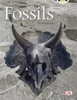 Fossils 9780433004424