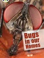 Bugs in our Homes