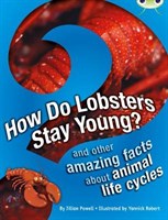 How Do Lobsters Stay Young? and other amazing facts about animal life cycles