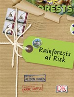 Globe Challenge: Rainforests at Risk 9781408274170