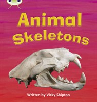 Bug Club Phonics Non-Fiction Set 17 Animal Skeletons