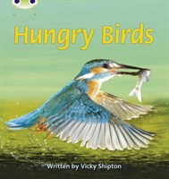 Bug Club Phonics Non-fiction Set 23 Hungry Birds