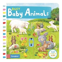 Busy Baby Animals 9781509869480