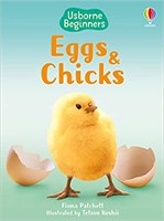 Eggs And Chicken Beginners