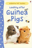 Looking After Guinea Pigs
