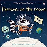 Pho Raccoon On The Moon