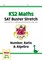 KS2 Maths SAT Buster Stretch: Number, Ratio & Algebra (for the 2019 tests) 9781782948575 - фото 11980