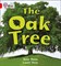 Collins Big Cat — The Oak Tree: Band 02b/red B - фото 14169