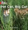 Collins Big Cat Phonics — Pet Cat, Big Cat: Band 02a/red A 9780007235872 - фото 14183