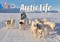 Collins Big Cat — Arctic Life: Band 04/blue - фото 14309