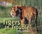 Collins Big Cat Progress — Tigers In Trouble: Band 04 Blue/band 12 Copper - фото 14360