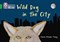 Collins Big Cat — Wild Dog In The City: Band 05/green - фото 14395