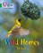 Collins Big Cat Phonics For Letters And Sounds — Wild Homes: Band 5/green - фото 14420