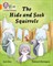 Collins Big Cat Phonics For Letters And Sounds — The Hide And Seek Squirrels: Band 6/orange - фото 14453