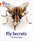 Collins Big Cat Phonics For Letters And Sounds — Fly Secrets: Band 6/orange - фото 14460