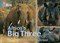Collins Big Cat — Africa’s Big Three: Band 07/turquoise - фото 14465