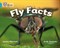 Collins Big Cat — Fly Facts: Band 07/turquoise - фото 14469