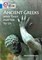 Collins Big Cat — Ancient Greeks And Why They Matter To Us: Band 16/sapphire - фото 14799