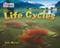 Collins Big Cat — Life Cycles: Band 16/sapphire - фото 14806