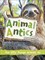 Animal Antics - фото 17106