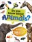 Do You Know About Animals? - фото 17298