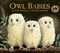 Owl Babies • 25th Anniversary edition - фото 18038