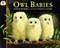 Owl Babies • Big Book - фото 18549
