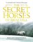 The Secret Horses of Briar Hill 9781406373554 - фото 19081